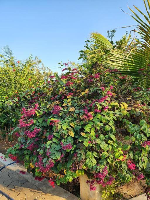 Farmhouse Close To Nature - Kesari Farm Gandhinagar Esterno foto